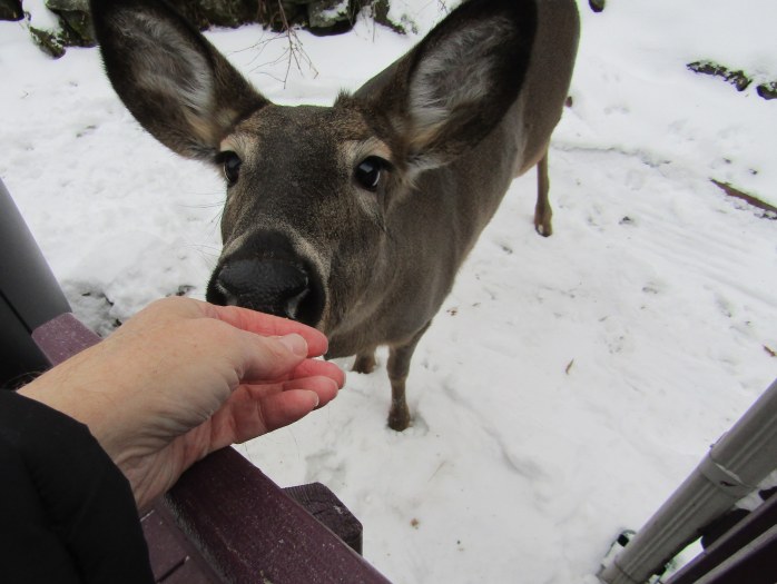 Mama licking my hand