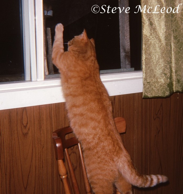 duffer2,reaching higher1a