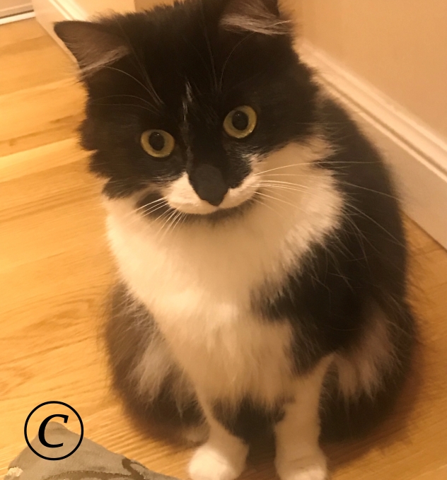 32B9C7BB-E140-4B13-87EF-B019C7C61908