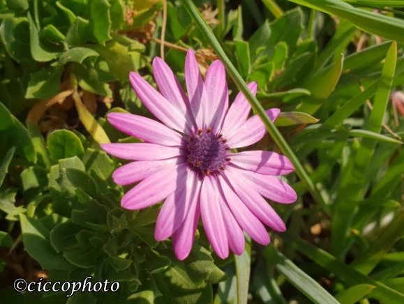 20190827_1018453483469090966261885