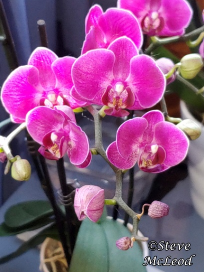 Picture_20202618092642